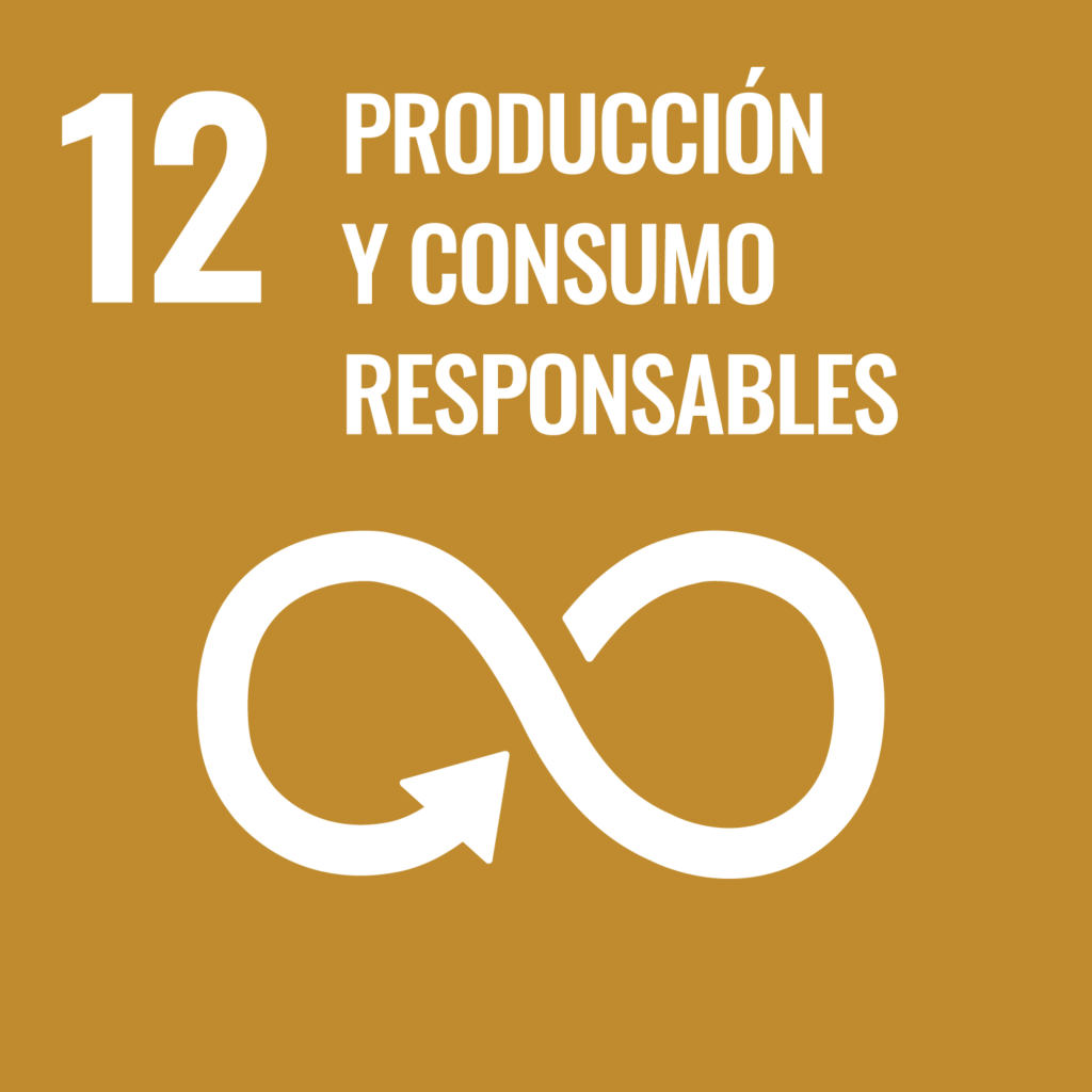 12 - consumo