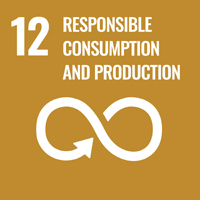 12 responsible consumption