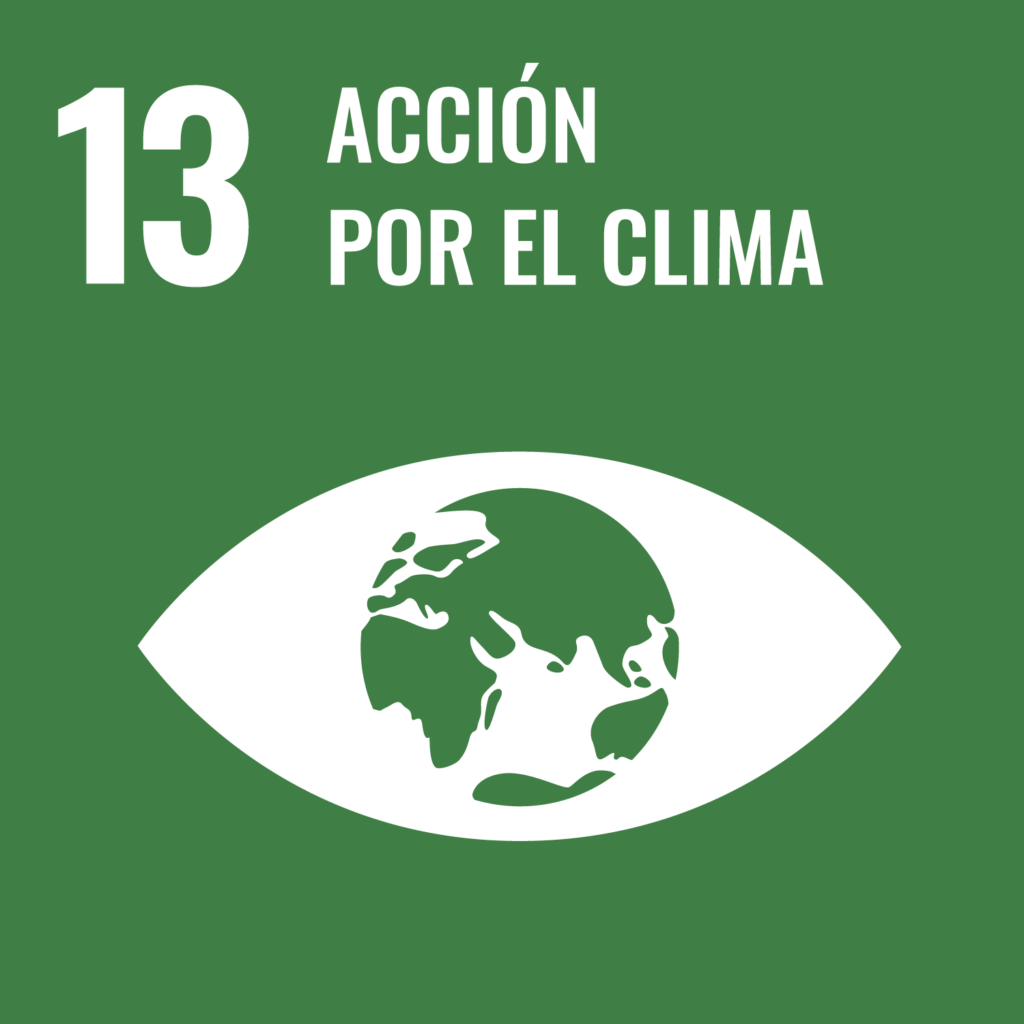 13 - acción climática