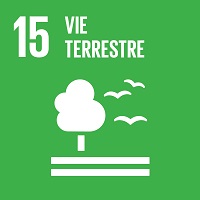 15 - vie terrestre