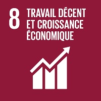 8 - travail decent