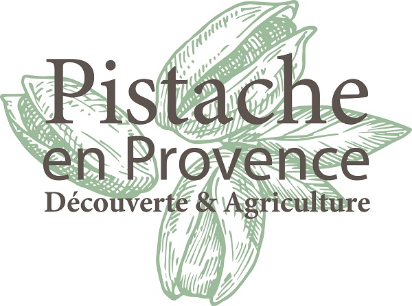 Pistache en Provence