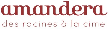 Amandera logo